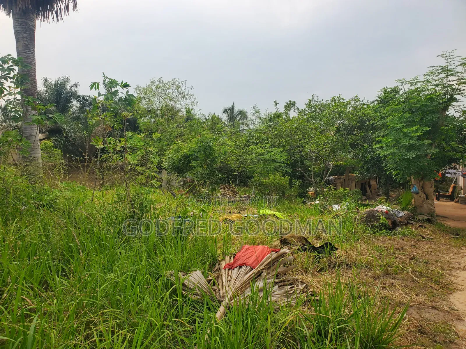 6 Plots of Land With 2 Rooms on It. Close to Main Road.