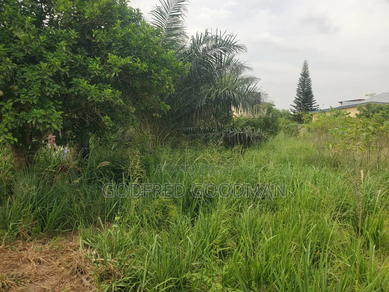 6 Plots of Land With 2 Rooms on It. Close to Main Road.