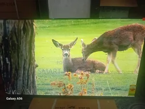 Sigma 55-Inch Tv – Powered for Smart Living