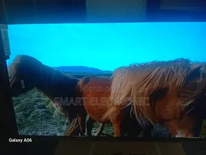 Sigma 55-Inch Smart Tv – Upgrade Your Viewing Style