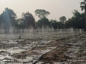 Premium 100m Rain Hose - Dominate the Dry Season!