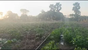 Premium 100m Rain Hose - Dominate the Dry Season!