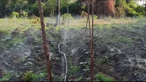Premium 100m Rain Hose - Dominate the Dry Season!