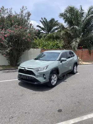 Toyota RAV4 XLE 2021 Gray