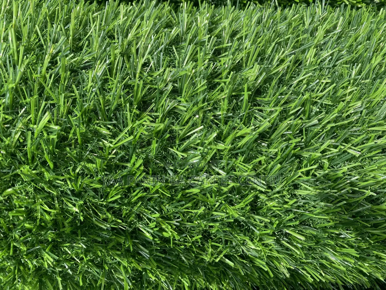 Grass Carpet