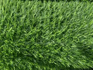 Grass Carpet