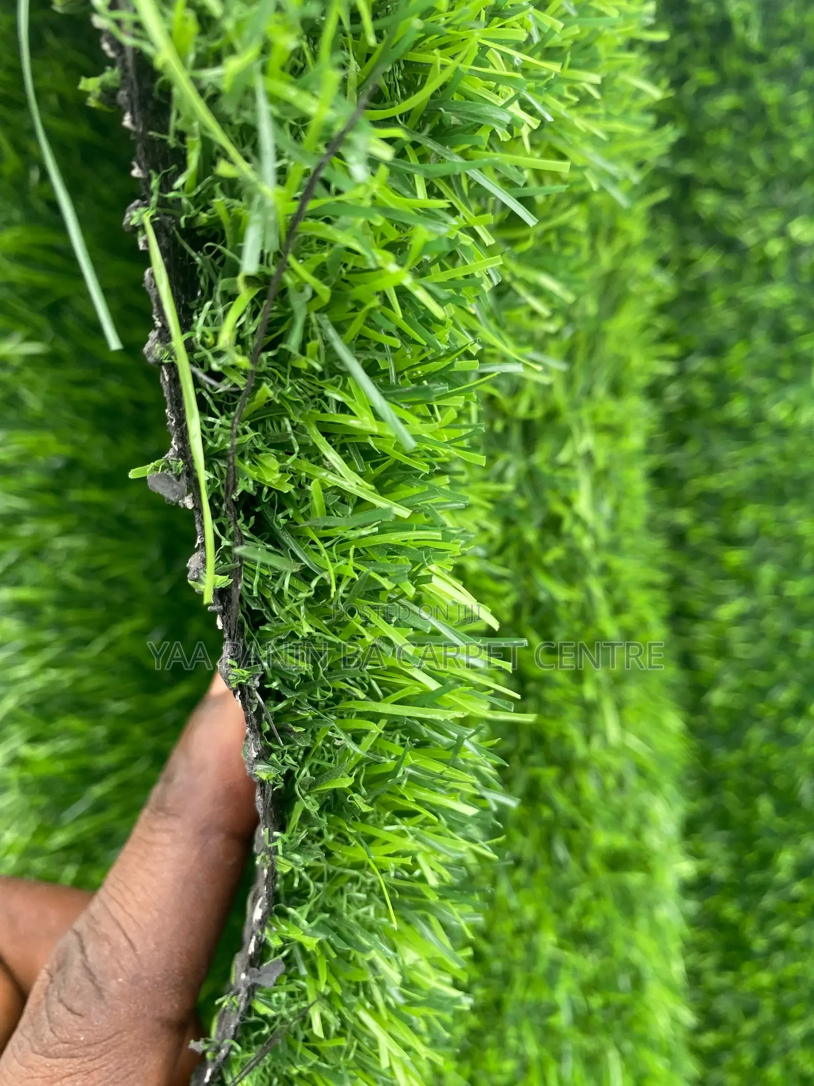 Grass Carpet