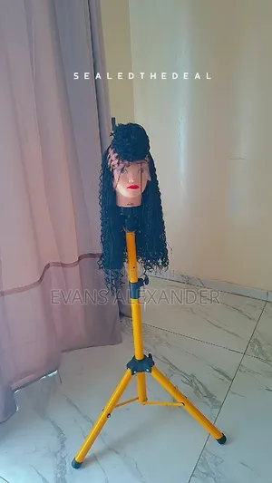 Braided Wigs