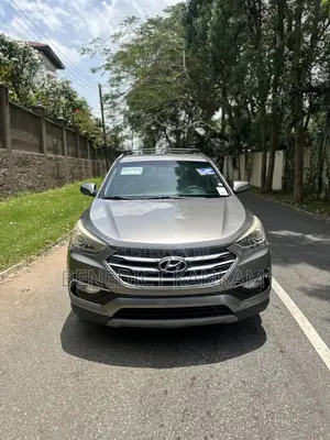 Hyundai Santa Fe SE AWD 2017 Gray
