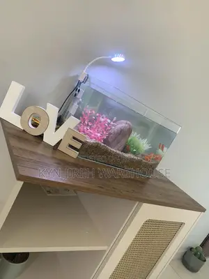 Tetra Tabletop Aquarium With 10 Tetras Fishes