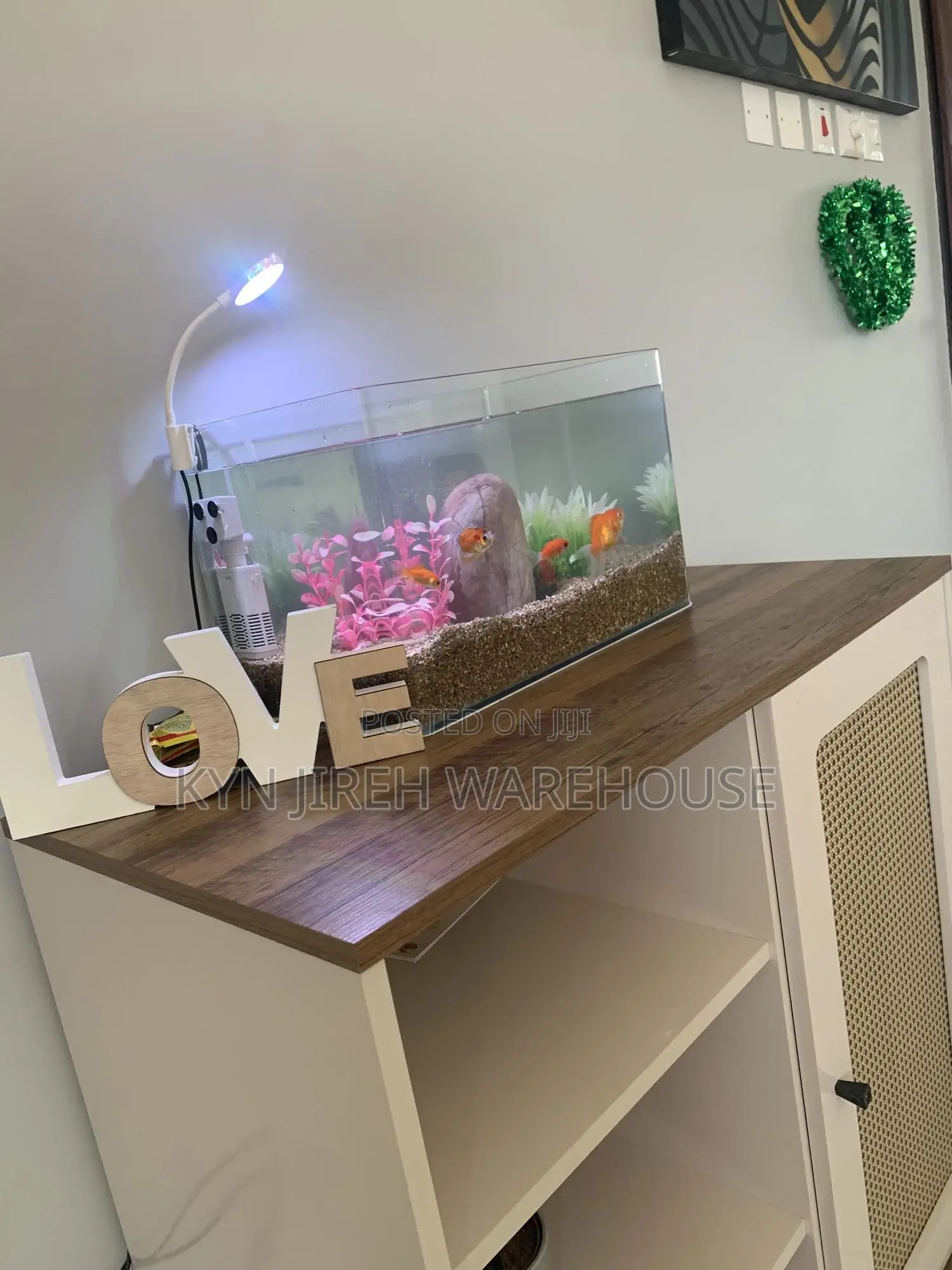 Tetra Tabletop Aquarium With 10 Tetras Fishes