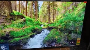 Sigma 55 Inches Smart Led Tv – Sharp Picture Smart Access