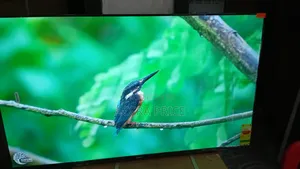Sigma 55-Inch Smart Tv – Big Screen Entertainment at Home