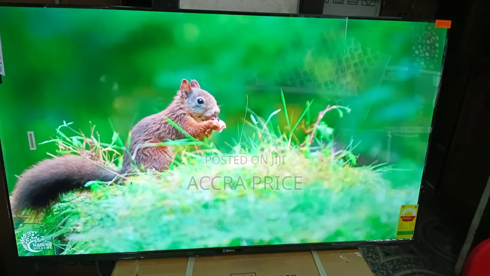 Ultra-Clear Sigma 55” Smart Tv – Wifi Enabled Stylish