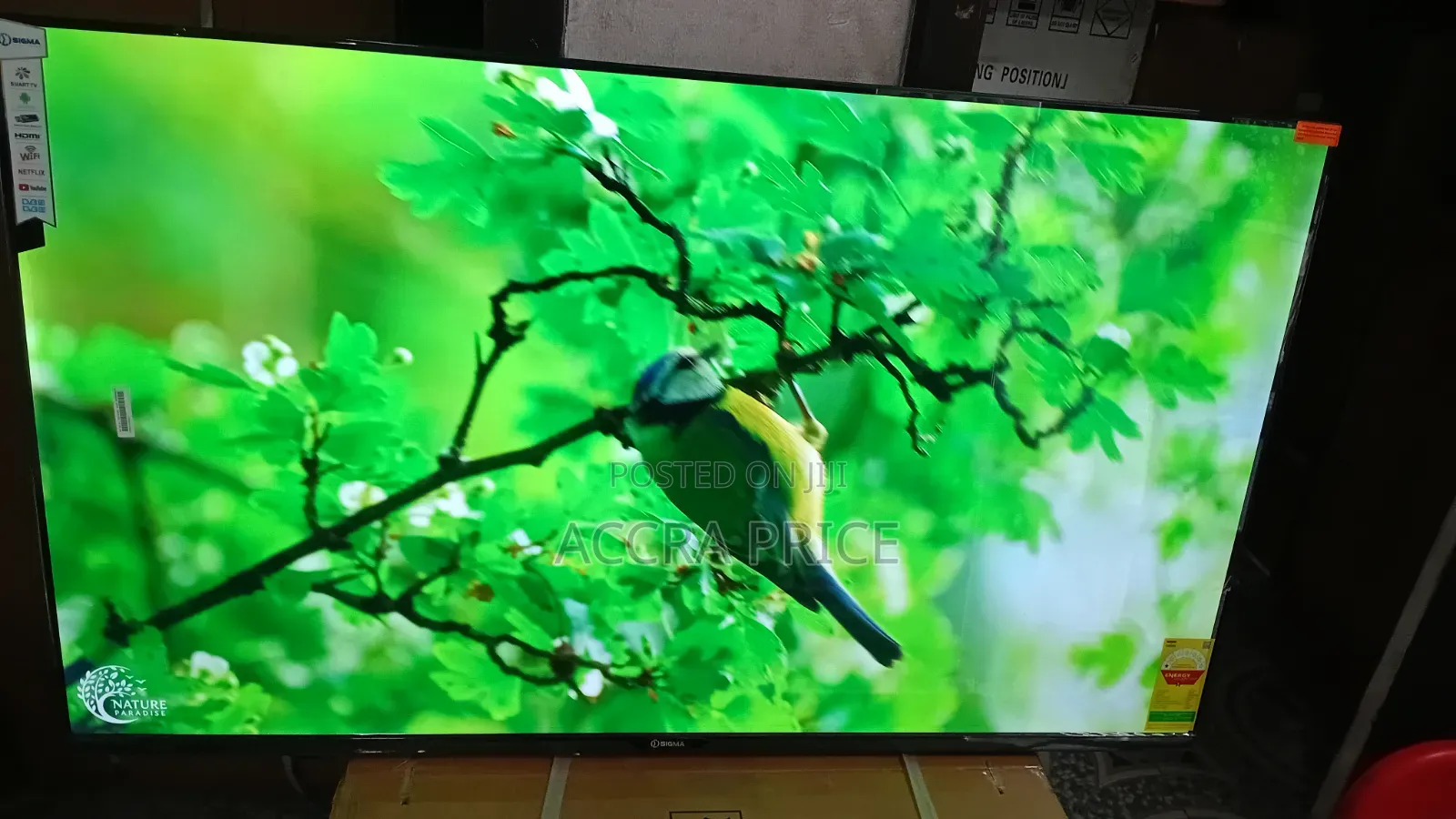 Sigma 55-Inch Smart Tv – Sleek Design With Smart Connectivity