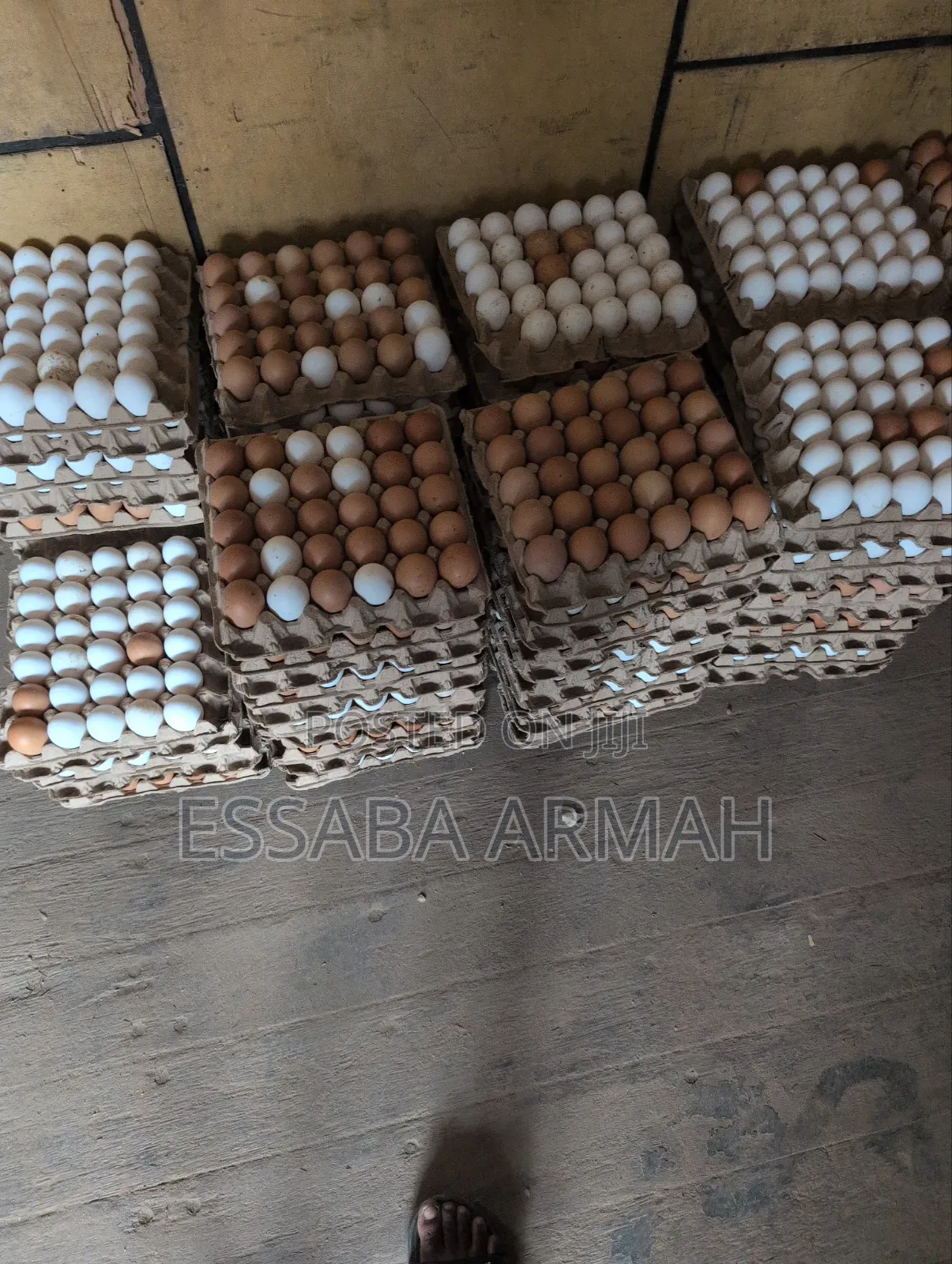 Fresh Quality Eggs