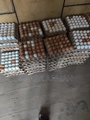 Fresh Quality Eggs