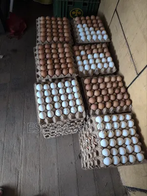 Fresh Quality Eggs