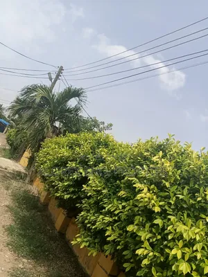 3bdrm House in Pantang Junction, New Site for rent