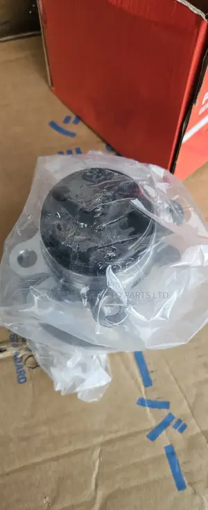 Nissan Kick 2020 Back Hub Bearing