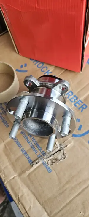 Nissan Kick 2020 Back Hub Bearing