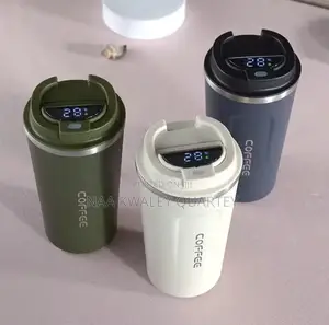 Led Temperature Display Flask