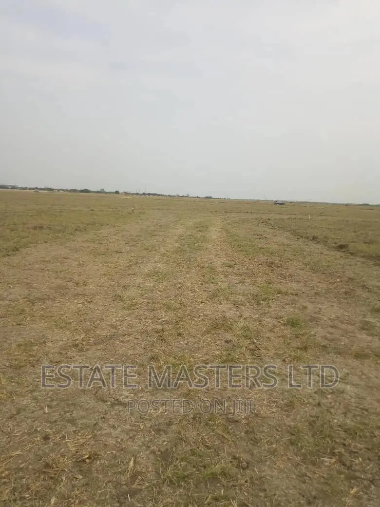 Awesome Serene Land