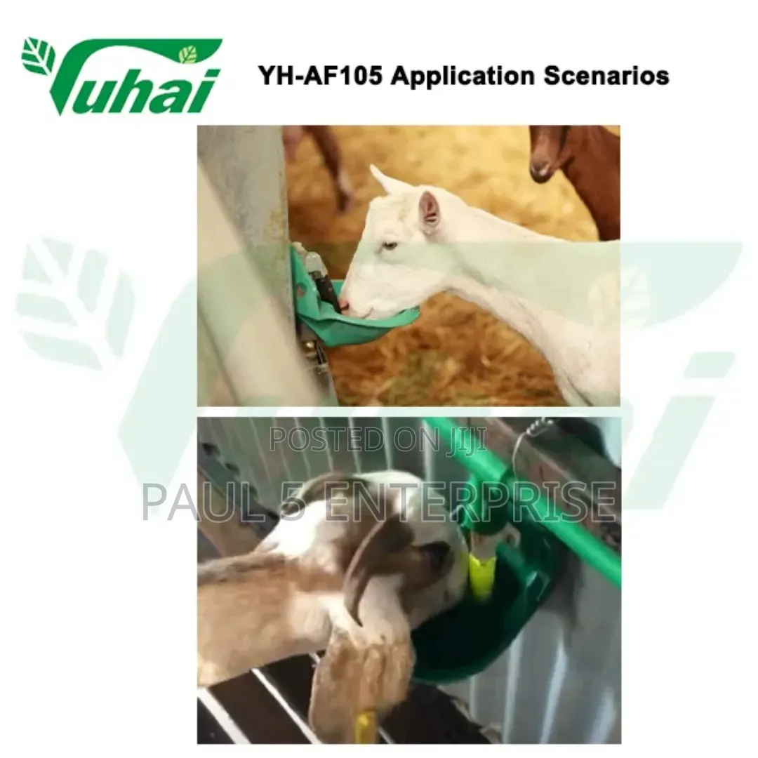 Goat Drinker Wholesale And Retail