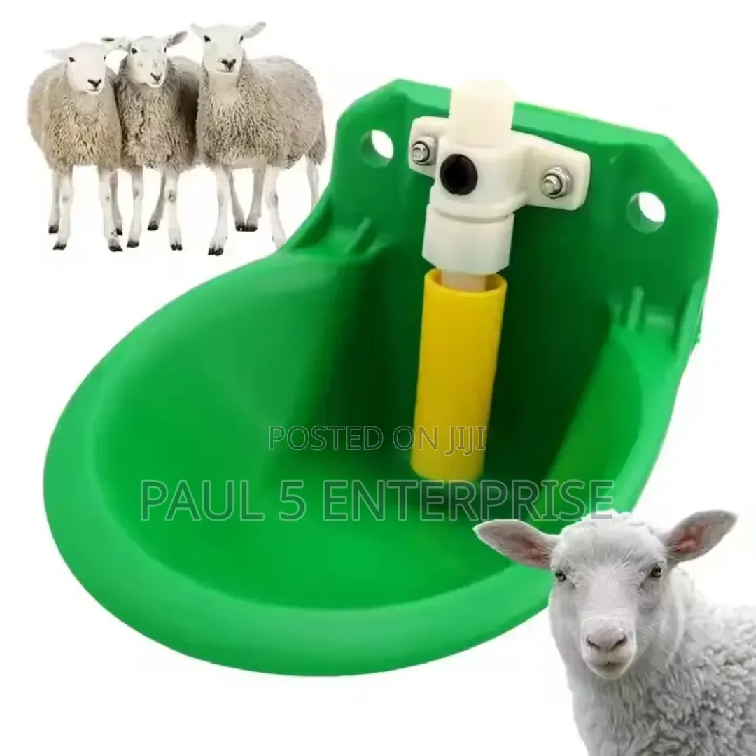 Goat Drinker Wholesale And Retail