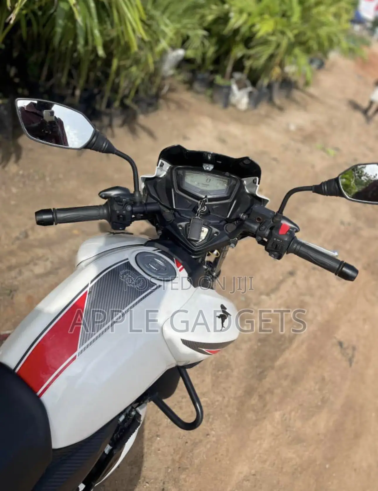 TVS Apache RTR 160 2V 2025 White