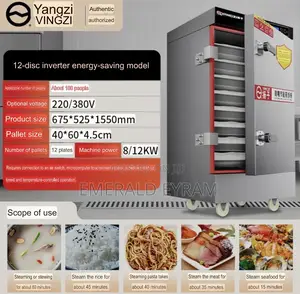 Rice Steamer