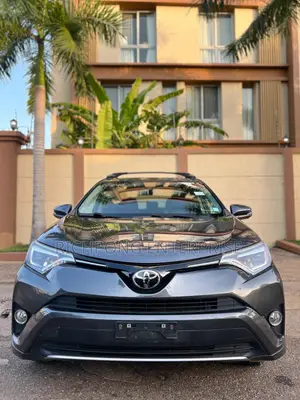 Toyota RAV4 Limited 4dr SUV (2.5L 4cyl 6A) 2018 Gray