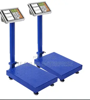 Electronic Scale
