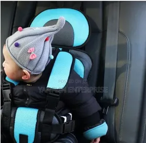 Car Seat Strap