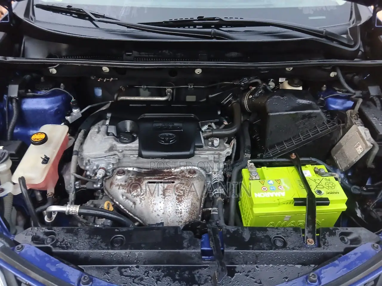 Toyota RAV4 LE AWD (2.5L 4cyl 6A) 2016 Blue