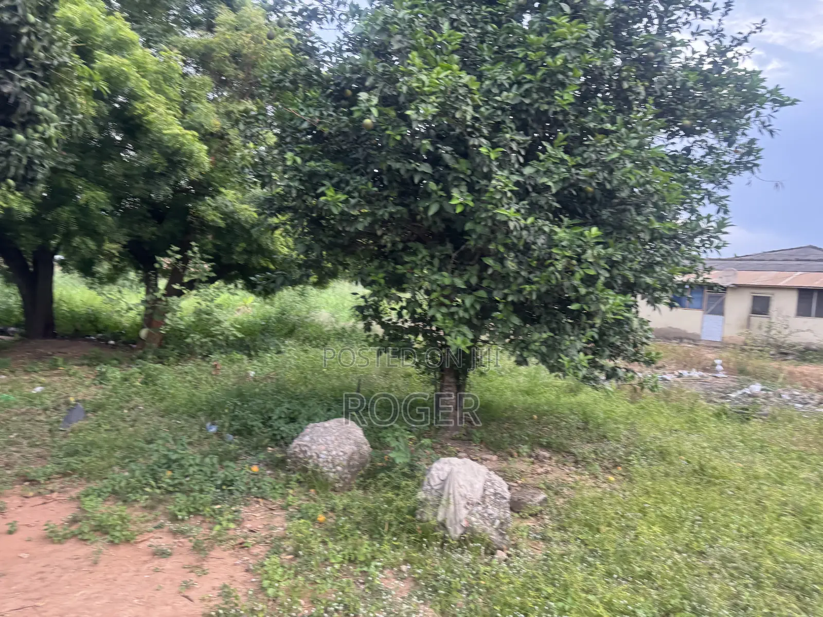 3 Plots of Land for Sale at Lomnava