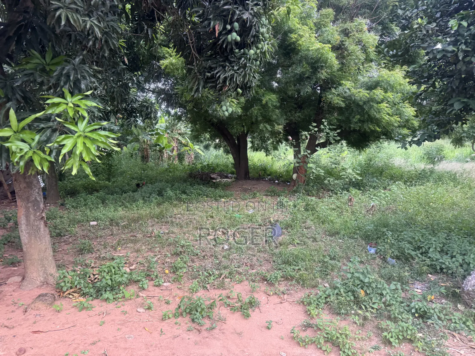 3 Plots of Land for Sale at Lomnava