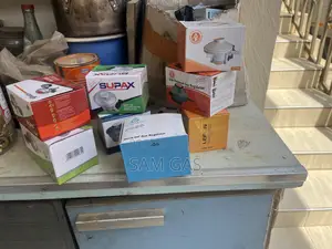 Wholesale Of Gas Regulators