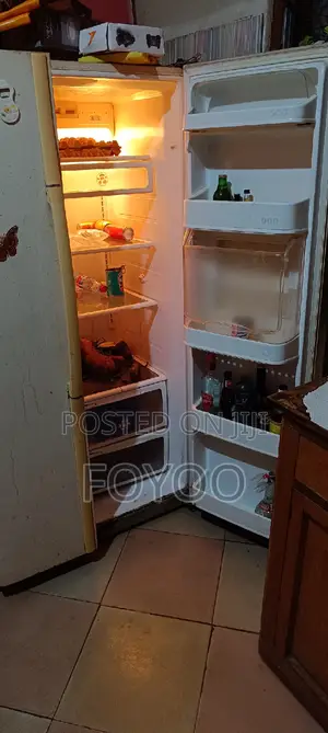 Lg Double Door Fridge