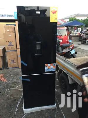Stainless Pearl 309L Water Dispenser Double Door Freezer