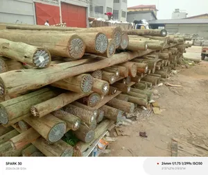 Emmanuel Afladey Is a House Electrician