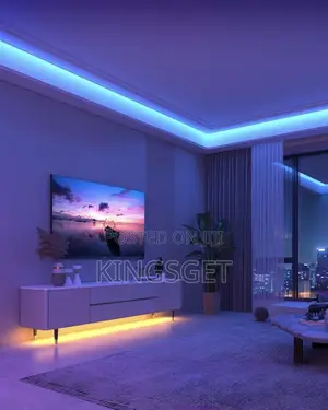 RGB 10 Meters Neon Light With Remote Control