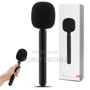 Wireless Microphone Handheld Stick