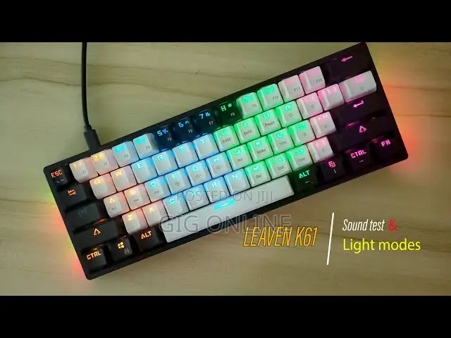 61 Keys Mechanical Mini Leven Keyboard