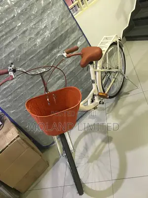 Flshishu Bicycle