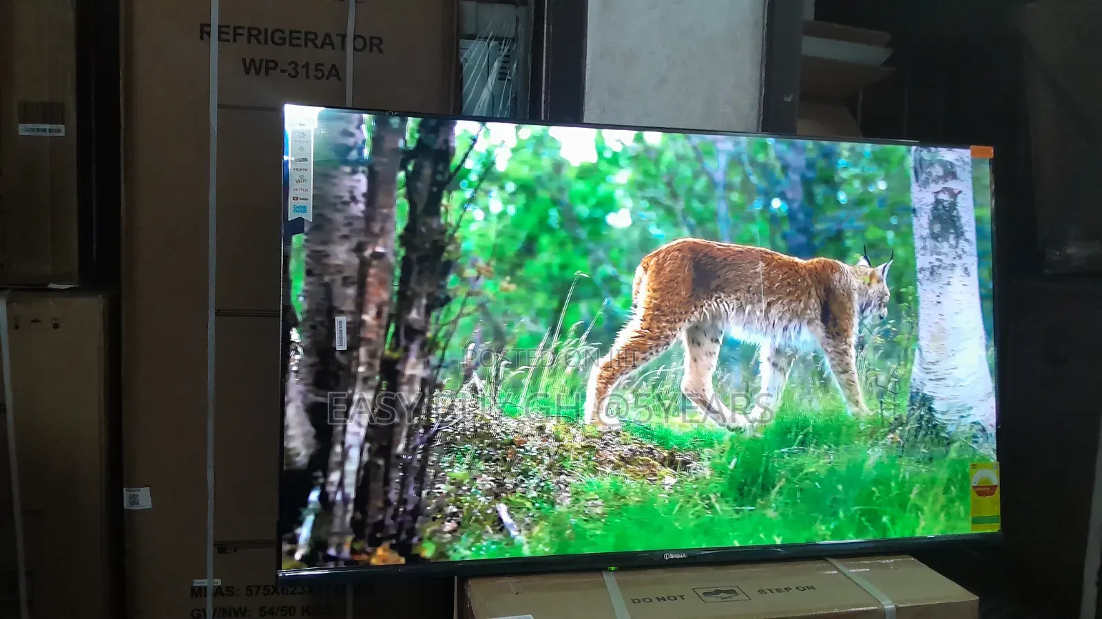 Sigma 55-Inch Uhd Tv – Big Screen Entertainment Deal