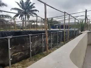 Pvc Quality Tarpaulin (Fish Pond) 20x50ft