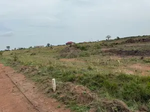 Best Land Deals in Dodowa | Investment Plots in Ayikuma Area
