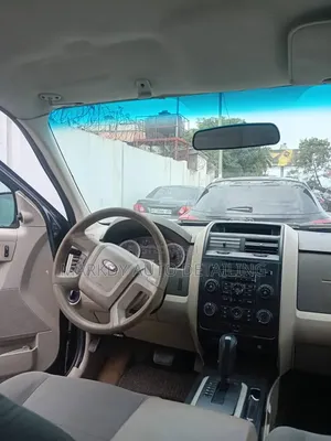 Ford Escape 2010 Green