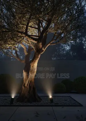 Modern Adjustable Led Spotlight